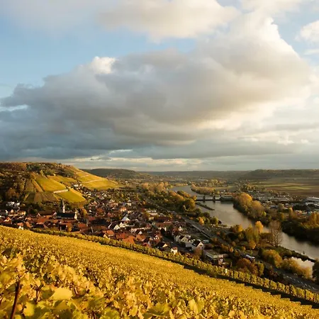 Wein Und Stein * Randersacker