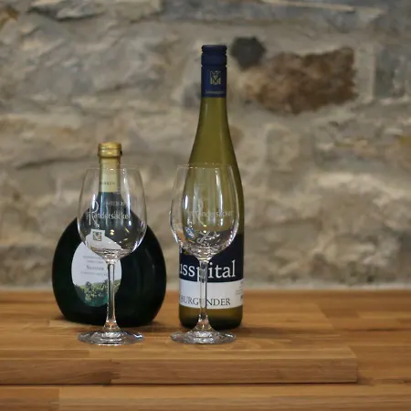 Wein Und Stein Prázdninový dům *